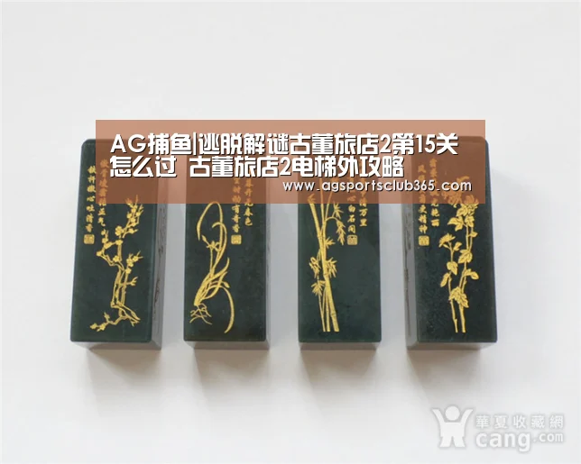 AG捕鱼|逃脱解谜古董旅店2第15关怎么过 古董旅店2电梯外攻略(图4) AG体育