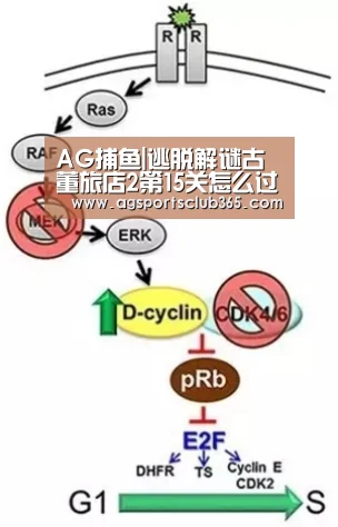 AG捕鱼|逃脱解谜古董旅店2第15关怎么过 古董旅店2电梯外攻略(图3) AG登录
