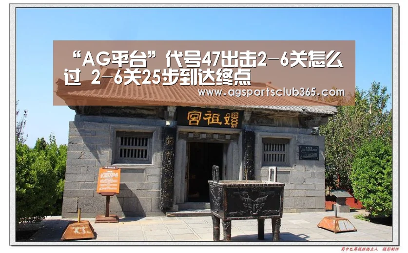 “AG平台”代号47出击2-6关怎么过 2-6关25步到达终点(图4) AG体育