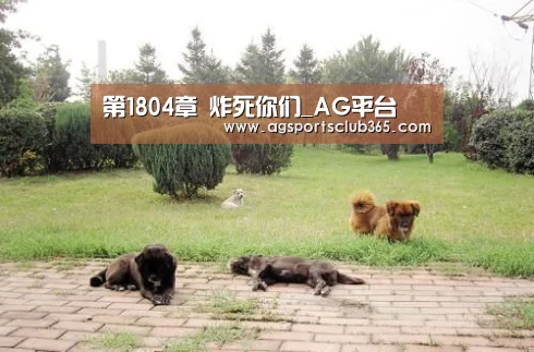 第1804章 炸死你们_AG平台(图2) AG平台