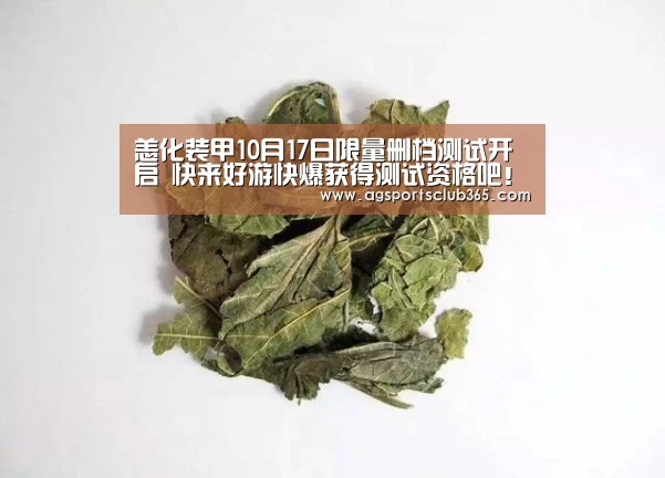恙化装甲10月17日限量删档测试开启 快来好游快爆获得测试资格吧!‘AG体育’(图3) AG体育