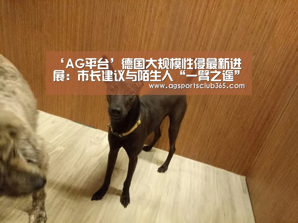 ‘AG平台’德国大规模性侵最新进展:市长建议与陌生人“一臂之遥”(图1) AG体育