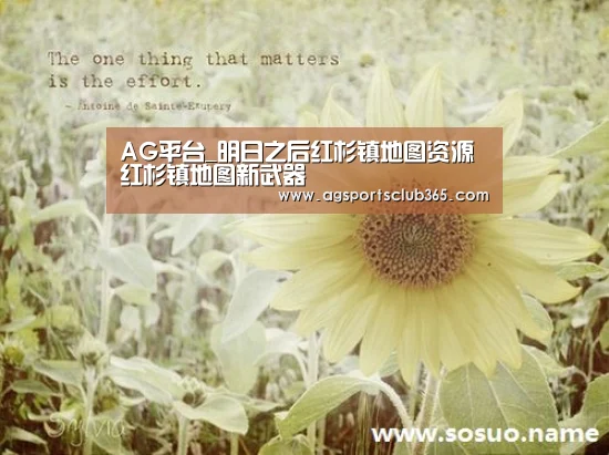 AG登录