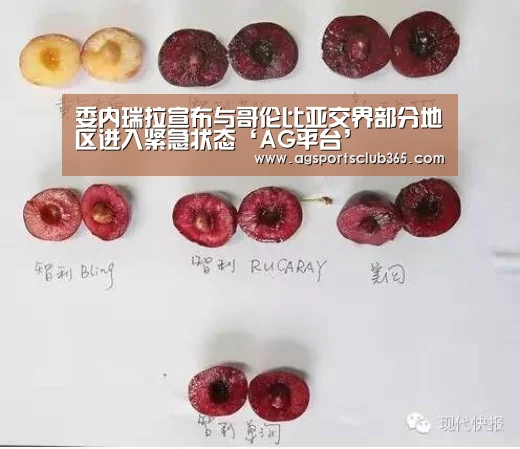 AG捕鱼